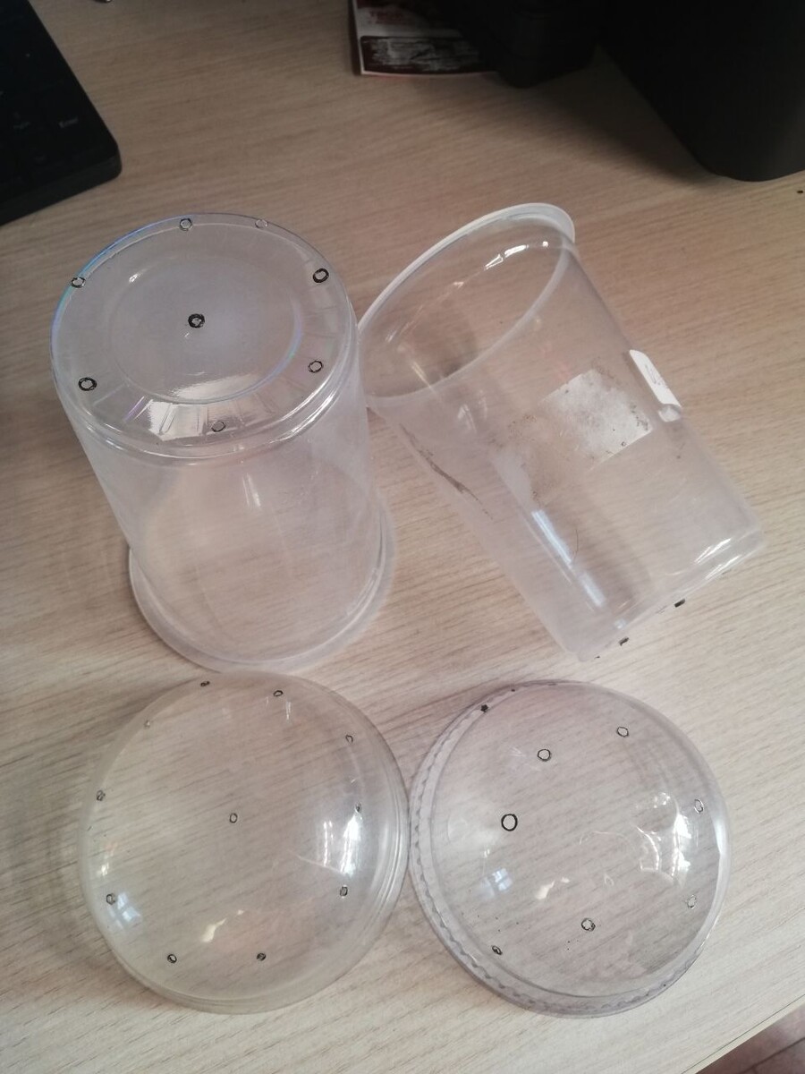 Мои стаканы из-под гренок с купольной крышкой.