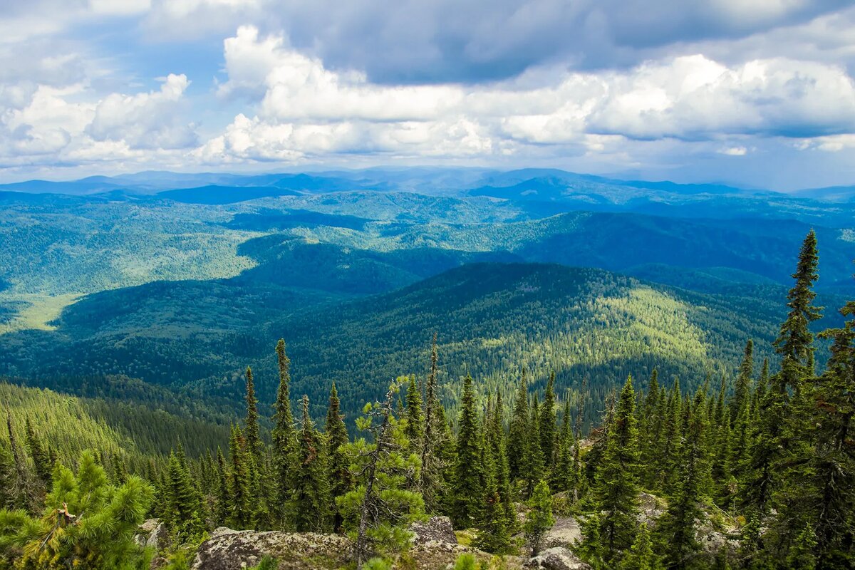 Тайга считается местом силы не случайно. В этой уникальной экосистеме природа сохраняет свою первозданную мощь, где деревья и реки словно удерживают древние энергии земли. Считается, что в таких местах энергия земли гораздо сильнее и чище, чем в более освоенных территориях. Люди, побывавшие в Тайге, часто отмечают, что здесь они ощущают глубокую связь с природой, и время будто замирает.

Многие народы верили, что в таких местах, как Тайга, сосредоточены силы природы, которые могут исцелять и очищать. Эти леса не только наполняют энергией, но и, по мнению древних, могут служить своеобразными воротами между мирами — миром людей и миром духов, где силы природы напрямую взаимодействуют с человеком.