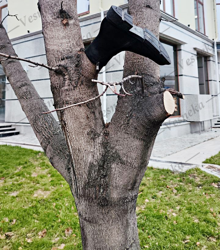 Фото автора