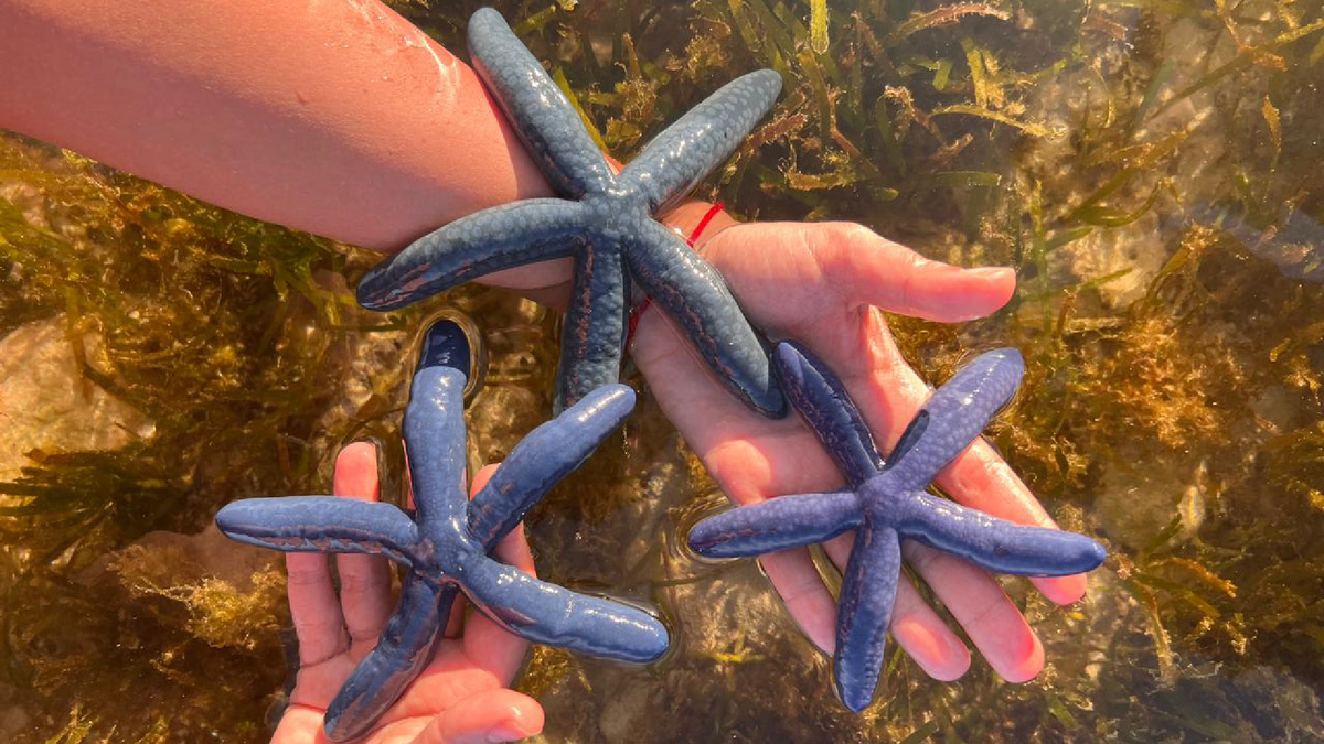 Фото: Екатерина Горшкова 