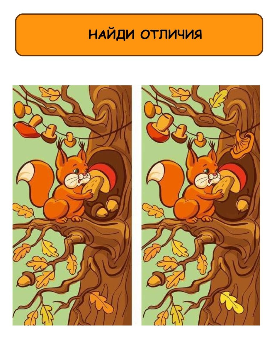 Найдите различия