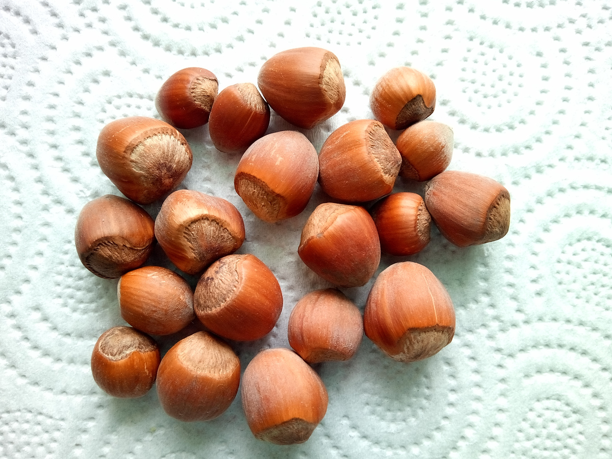 Собраны осенью.  Используем орешки ещё  и для поделок в школу.