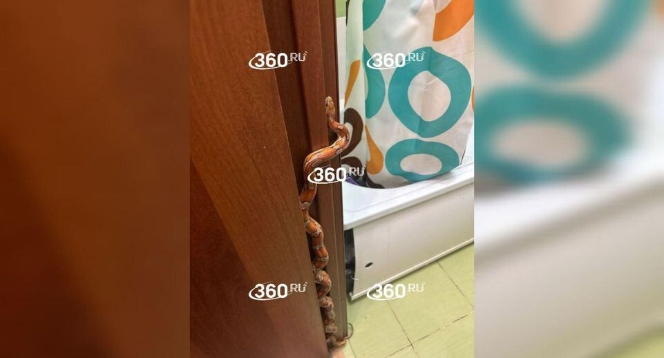    360.ru