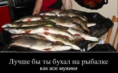 Фото с открытых источников