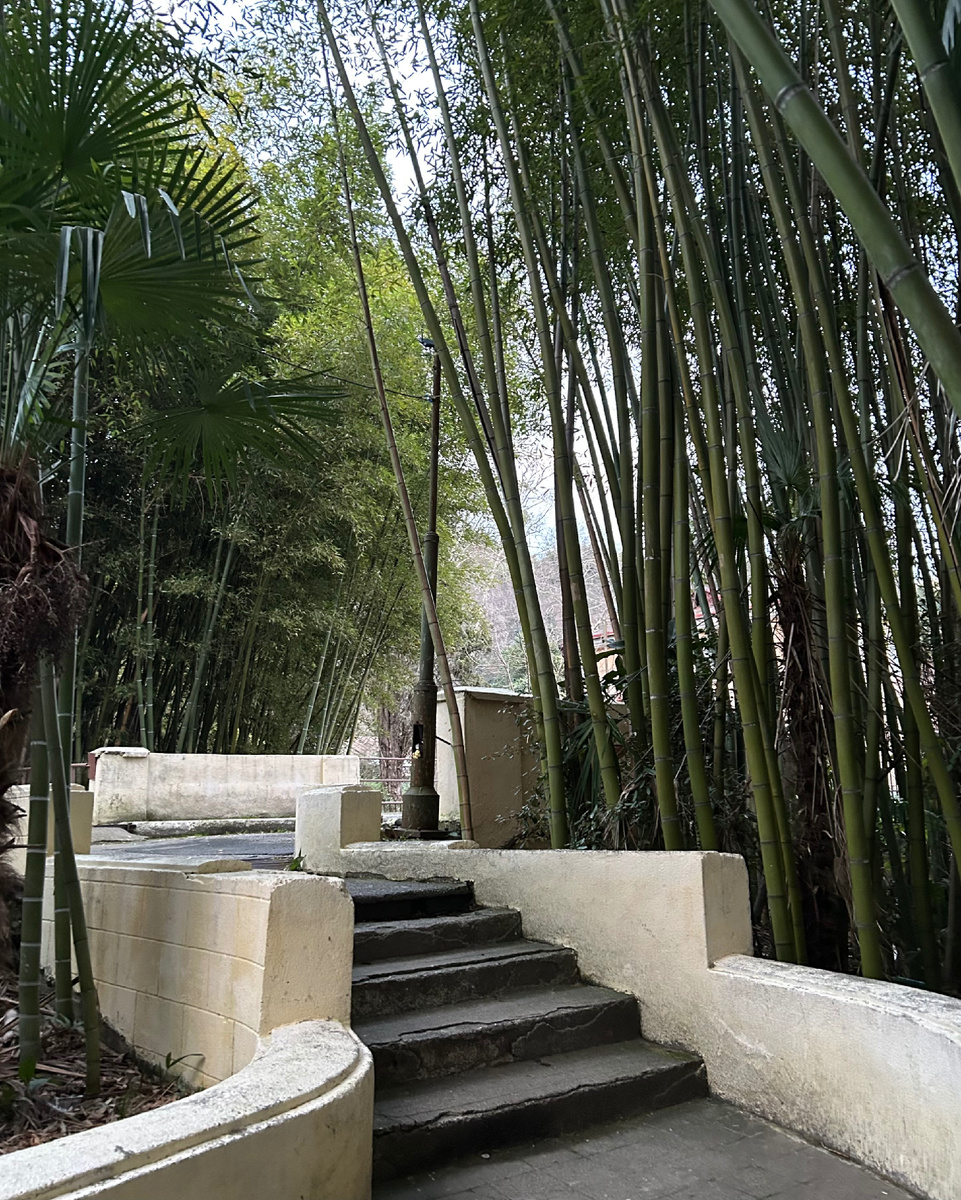 Вход в парк Синоп со стороны проходной СФТИ 