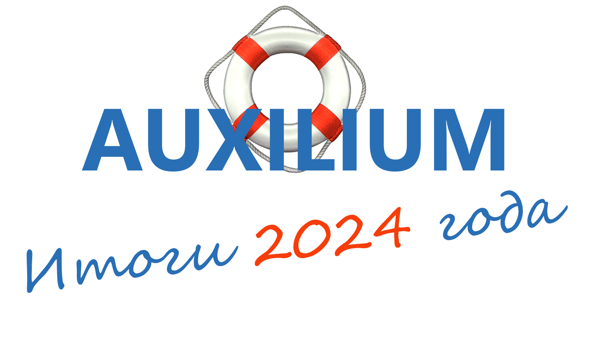 НКО "Фонд поддержки нуждающихся граждан "Аксилиум (Помощь)": итоги 2024
