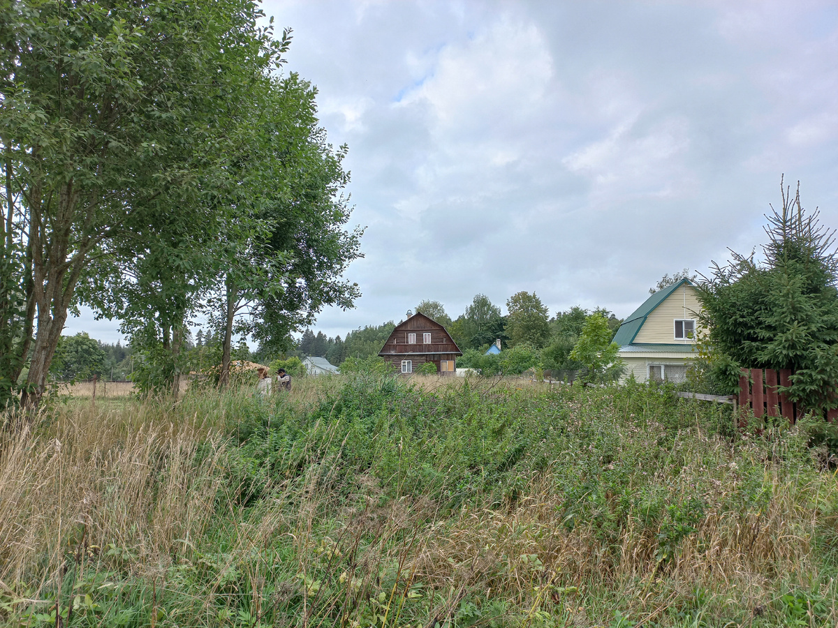 Первый осмотр: виден дом, перед которым целина! Деревья слева убрали в первую зиму...