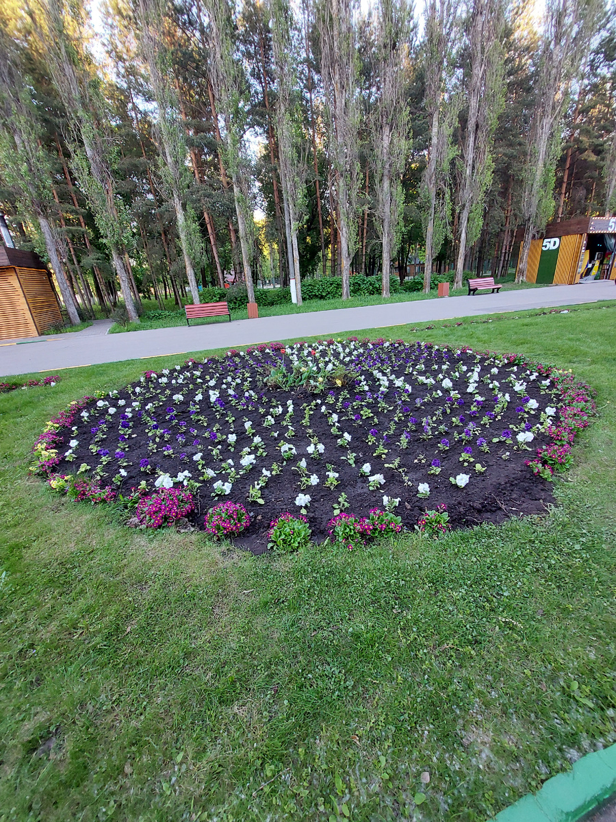 Очень благородная работа - высаживать цветы. Это Автозаводский ПКиО в Нижнем Новгороде 