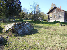 Участок после расчистки. Убрали засохшие деревья, траву и мусор. Я вздохнула и  собралась заниматься прекрасным - готовить землю под цветники... Как я поспешила... 