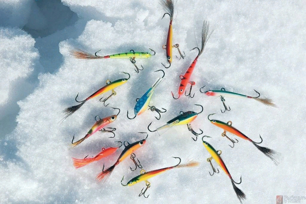 Фото с сайта: https://sunduk-ribaka.ru/wa-data/public/blog/img/7px52hd4ape.jpg