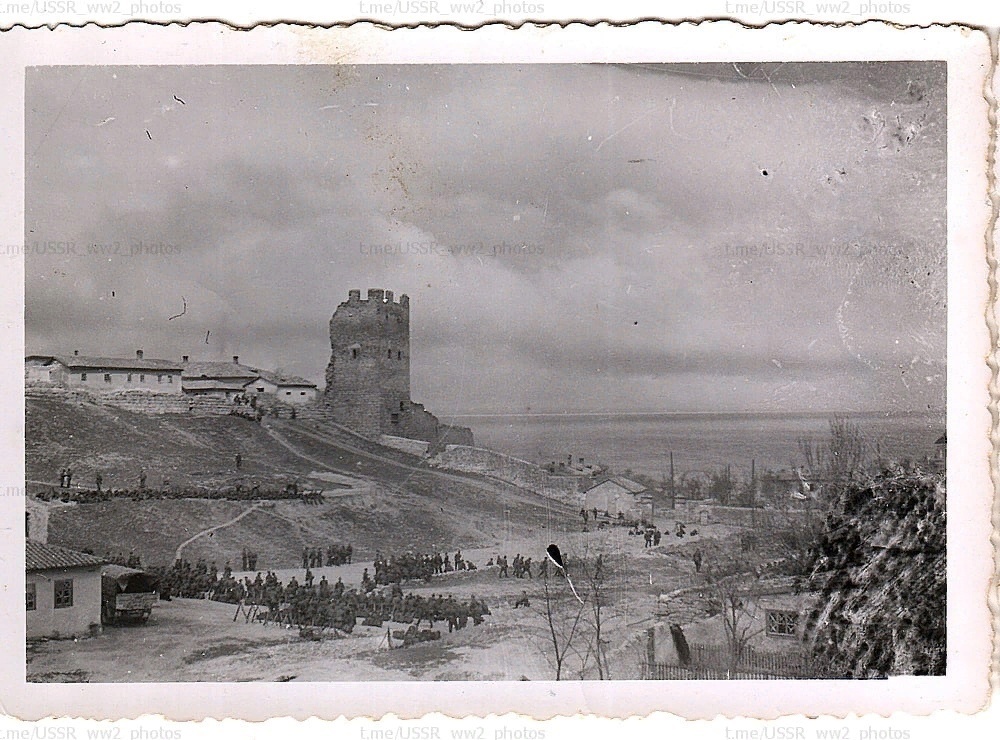 Фото из открытых источников 