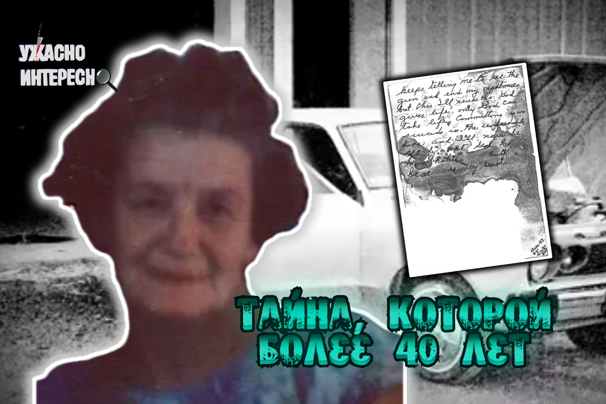 Иллюстрация автора 