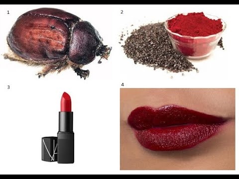 Твоя ярко-красная помада может скрывать шокирующую тайну — она создана из измельчённых жуков, выращенных на кактусах. Буэ-эээ