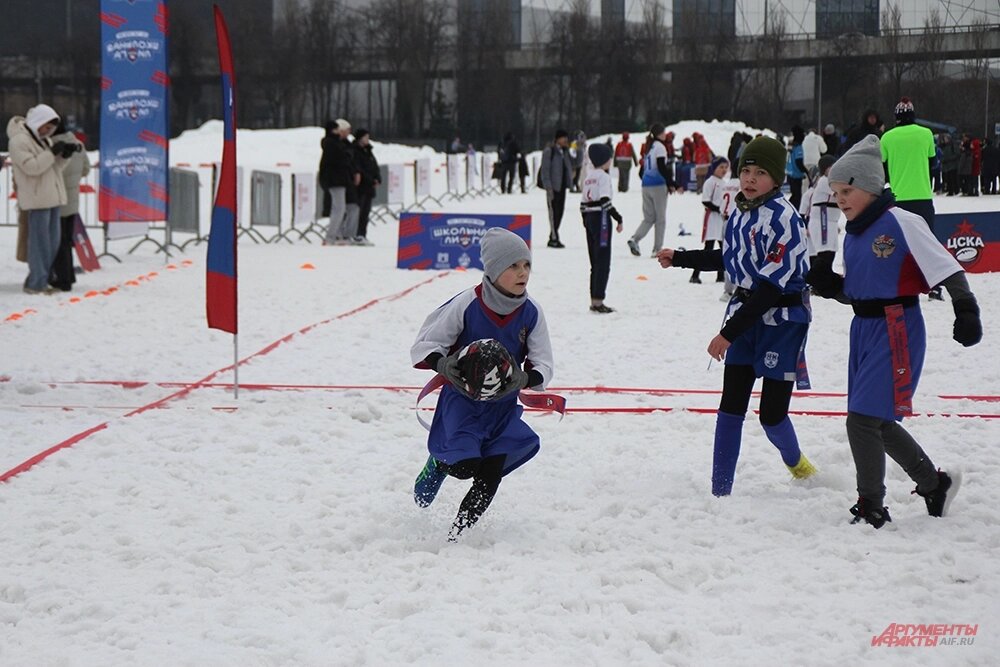    Фото:  АиФ/ Кирилл Искольдский