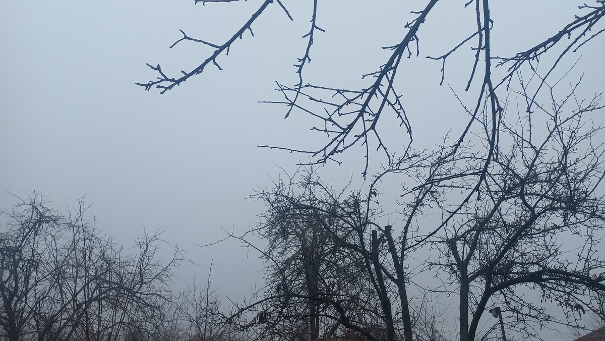 Это и другое фото в статье сделаны автором и принадлежат ему на условиях авторского права