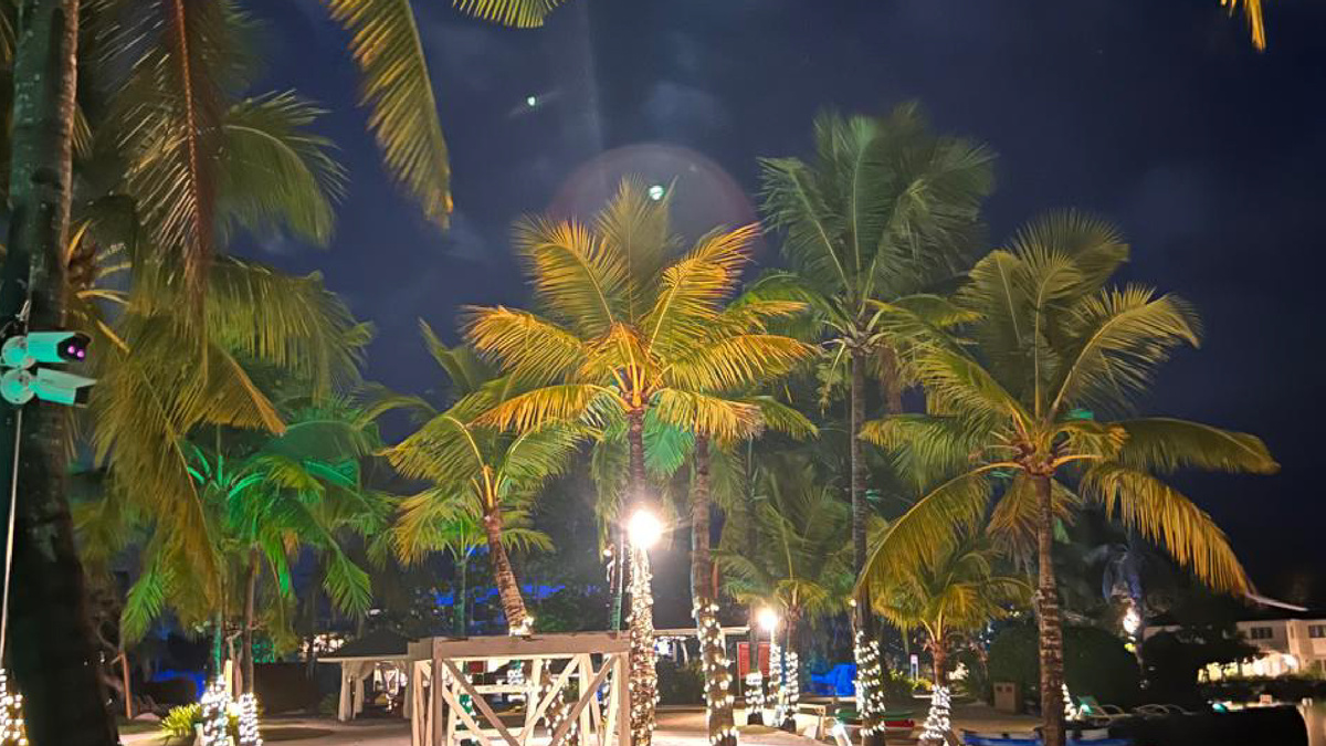 Фото: Екатерина Горшкова 