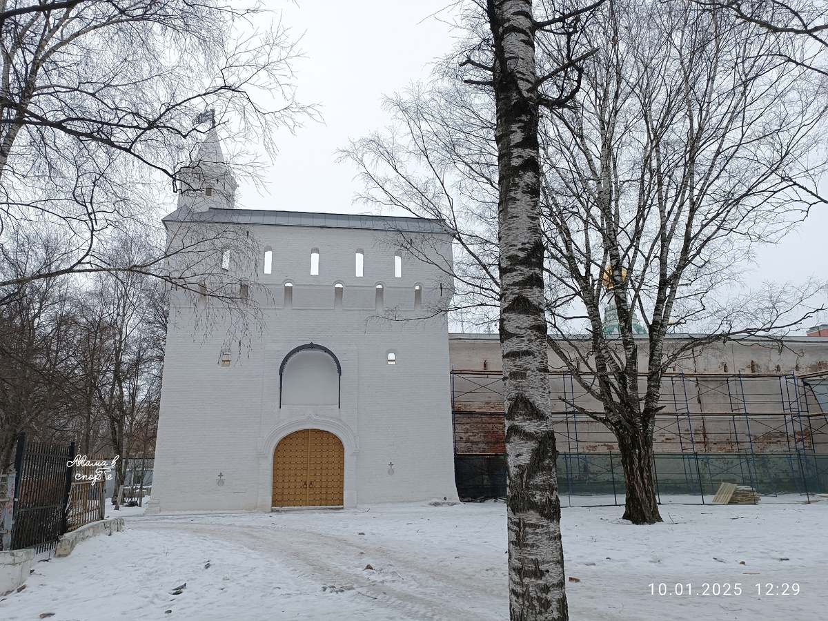1 из 3. Кремлёвские стены в лесах