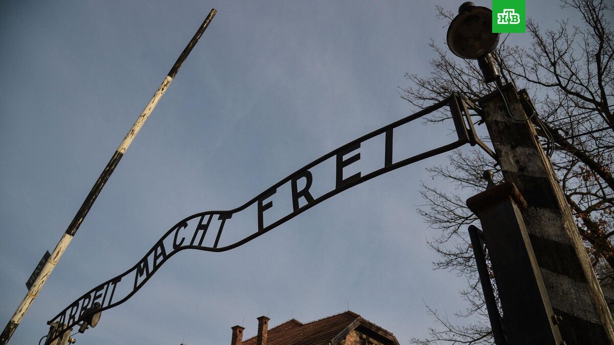    Фото: РИА Новости © 2025, Алексей Витвицкий