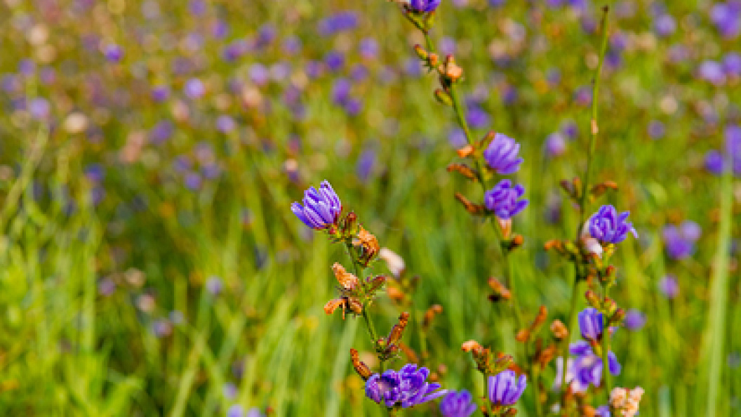    Ilya Galakhov/Globallookpress