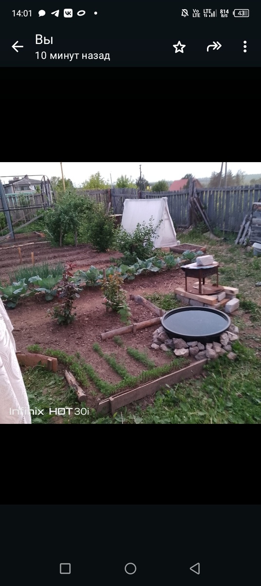 Начало посадок, июнь?! 🤩