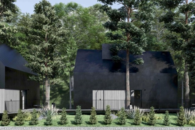   Изображение из презентации проекта