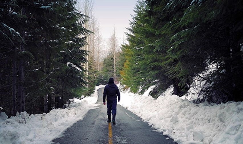 Яндекс Картинки