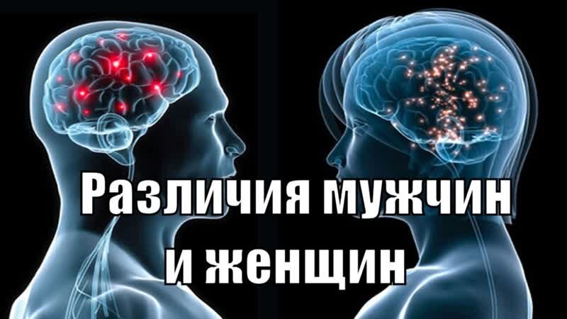 Фото взято с яндекс-картинки.