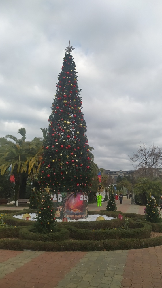 Сочи январь 2025