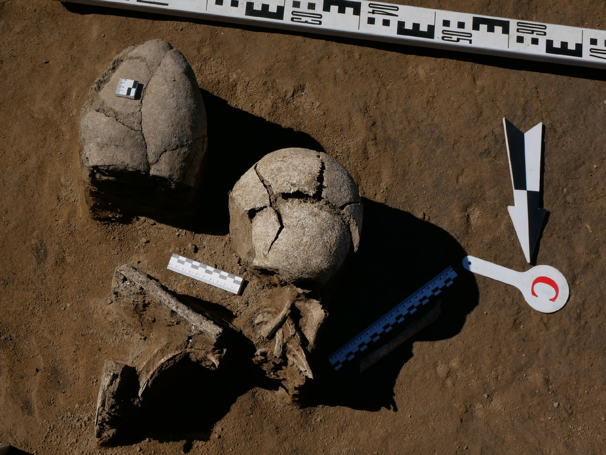 Захоронение эпохи энеолита, обнаруженное в экспедиции 2024 г.