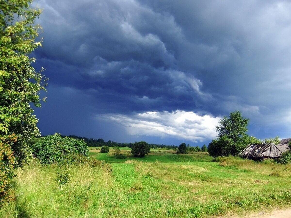 смотрел на жену, какое указание от неё получить