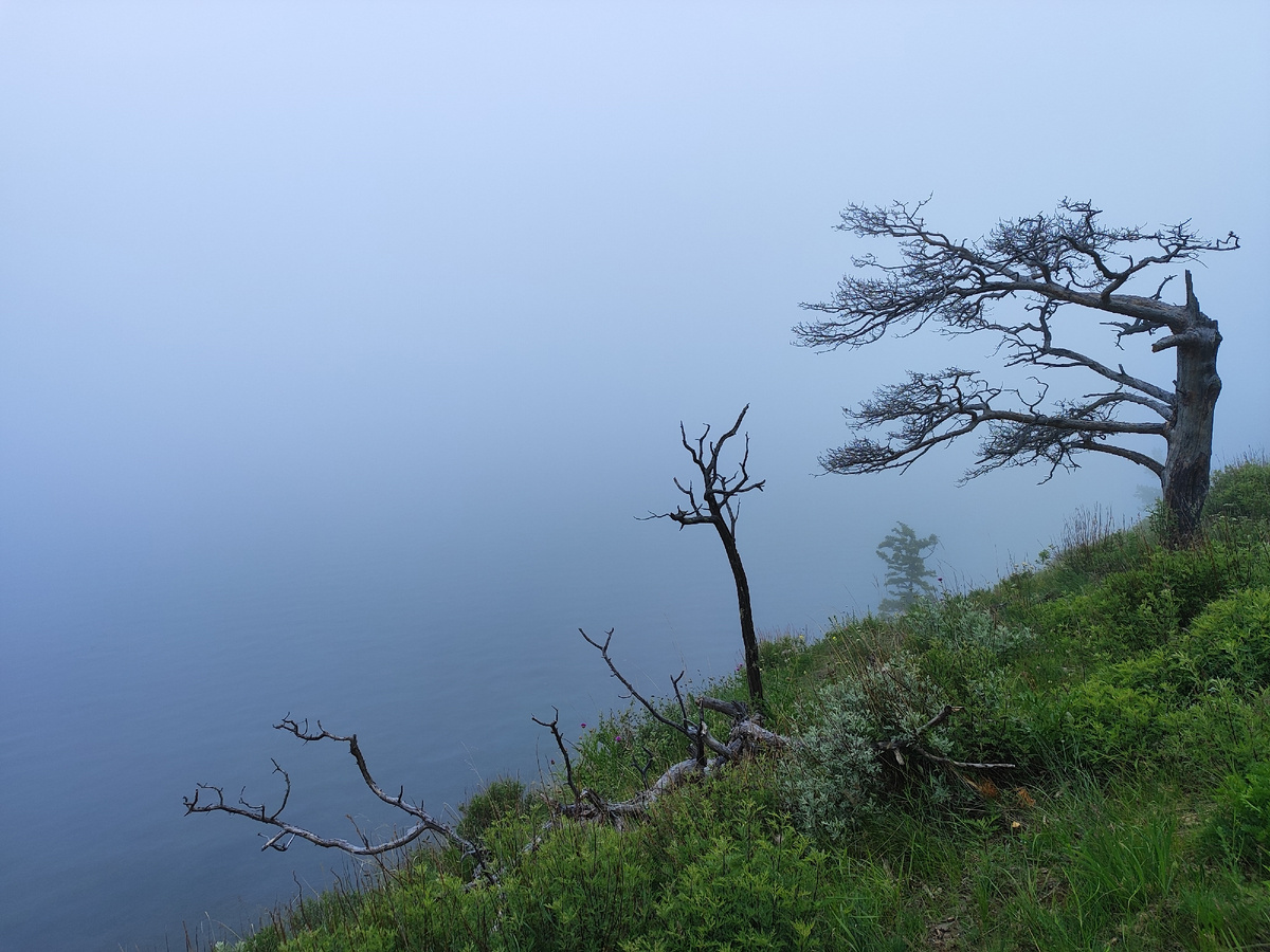 По дороге к Нижней пади