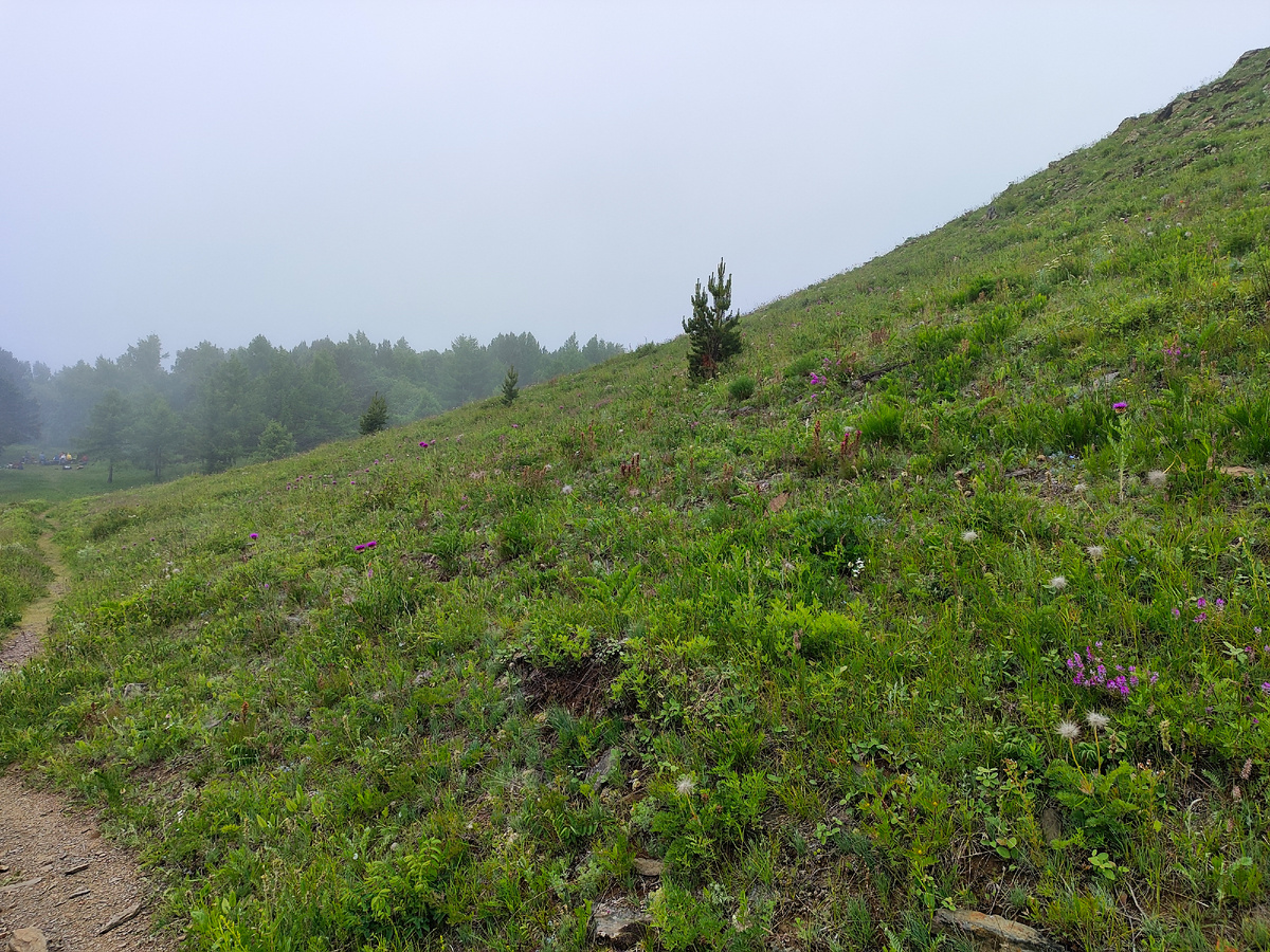 Вперед к лесу, где виднеется стоянка в Нижней пади