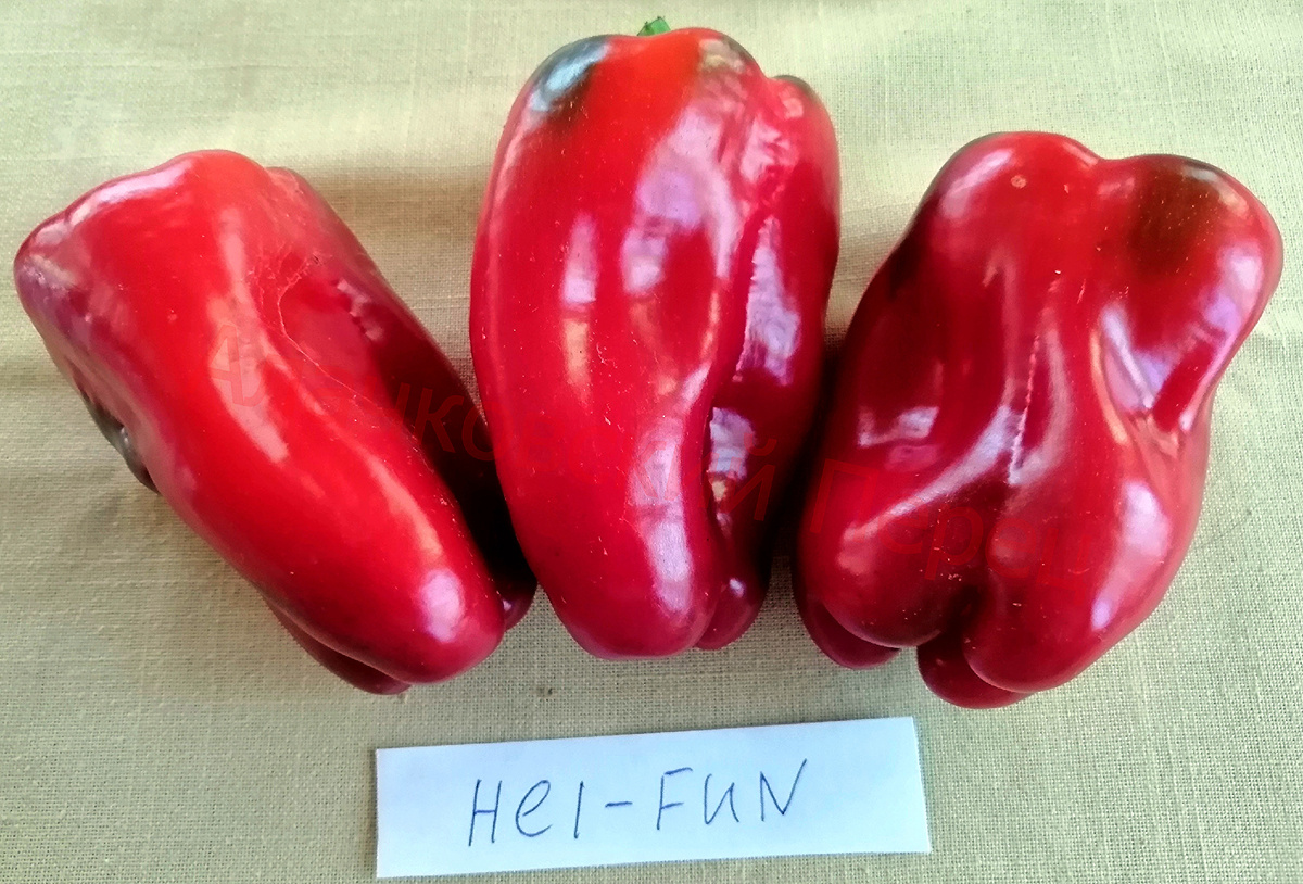 Hei-Fun (Хей –Фан)