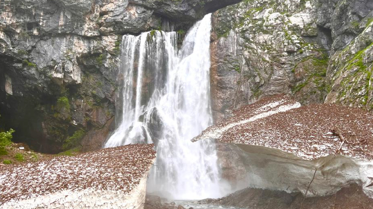 Фото: Екатерина Горшкова 