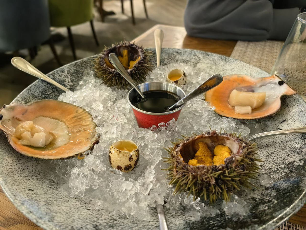 Мурманские ежи и гребешки