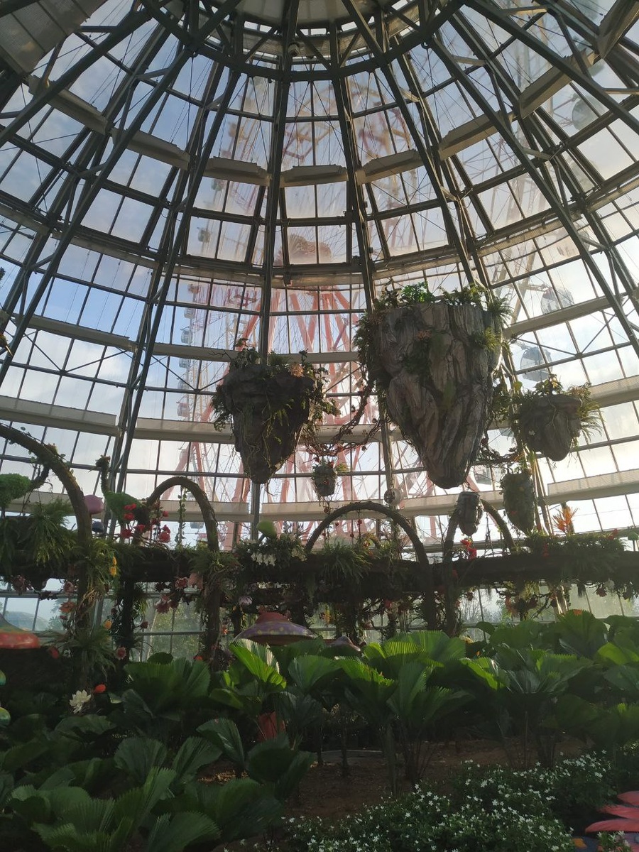 авиарий в парке VinPearl, за ним можно увидеть колесо обозрения