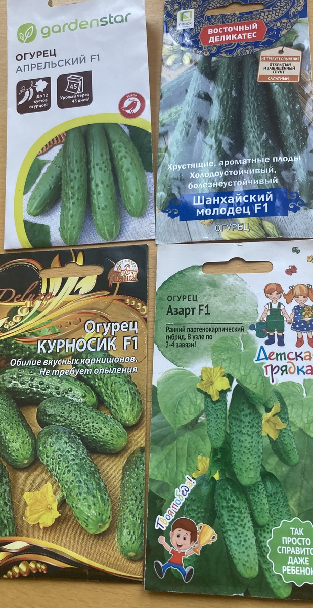 Мой «выбор» сортов огурцов на 2025 год