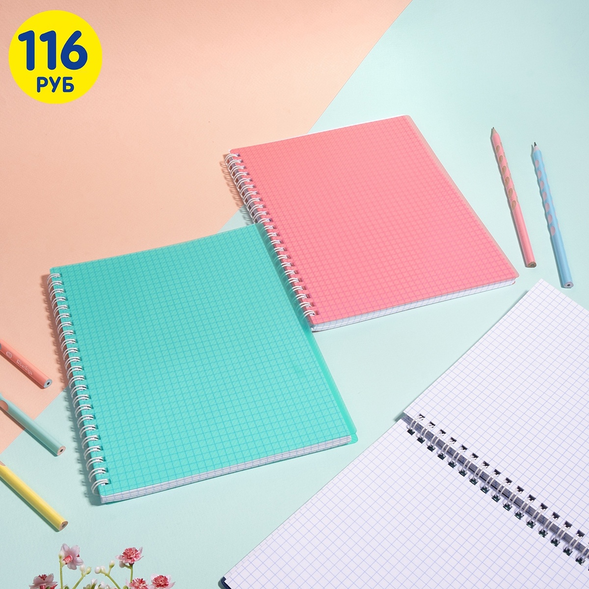 Общая тетрадь (116 рублей) ЛК: 5710343