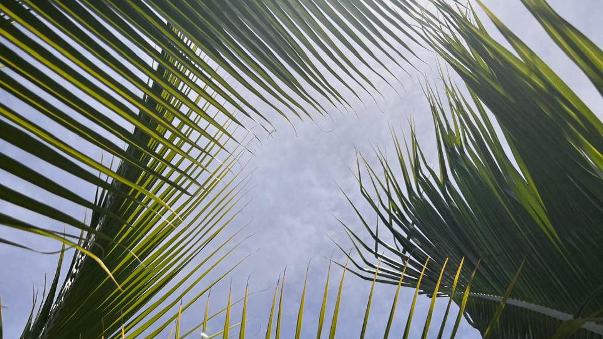 Фото: Екатерина Костерева 