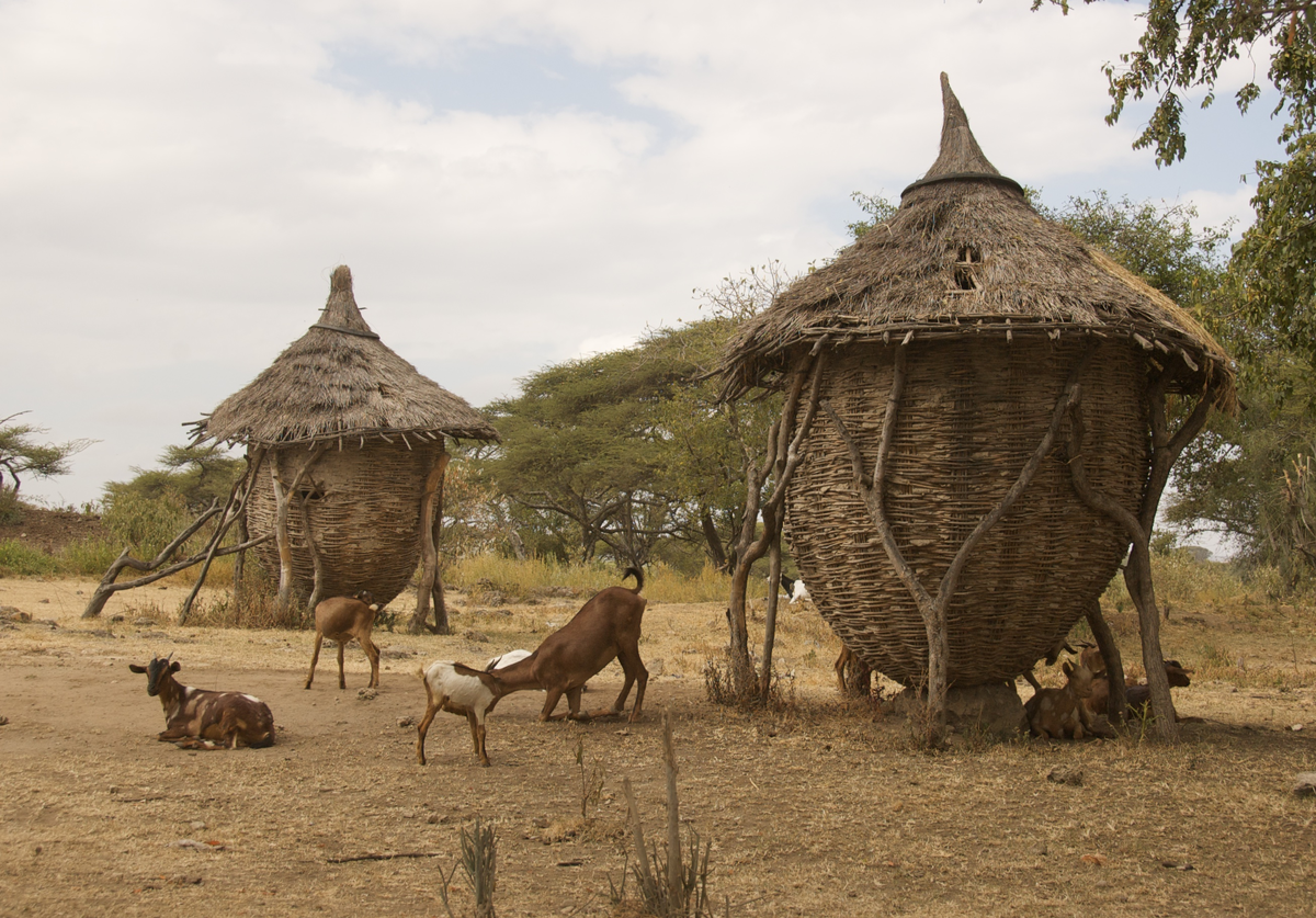 Пока не начался сезон дождей и земля не превратилась в болото - можно радоваться жизни