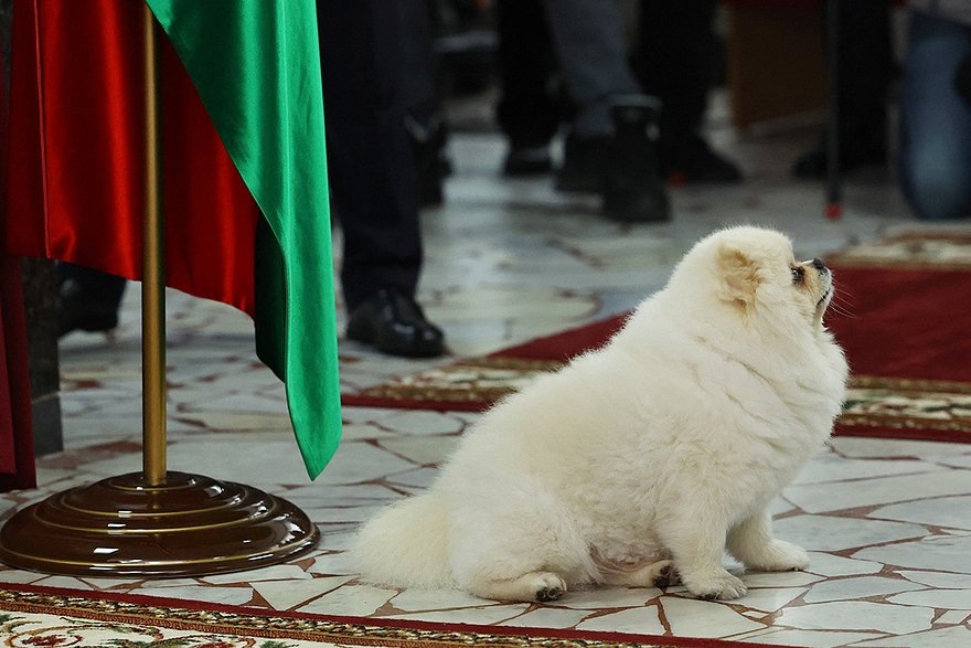    Фото: Evgenia Novozhenina / Reuters