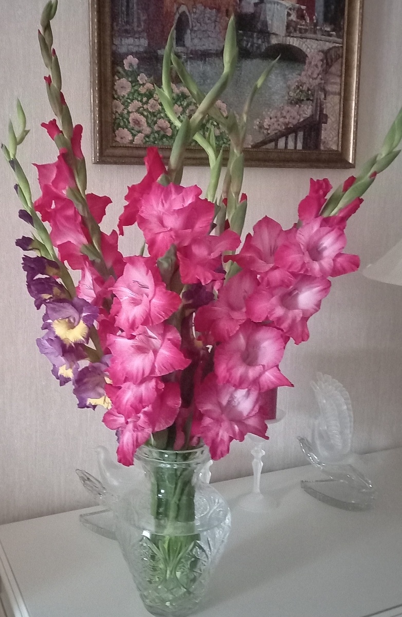 Гладиолусы в вазе
