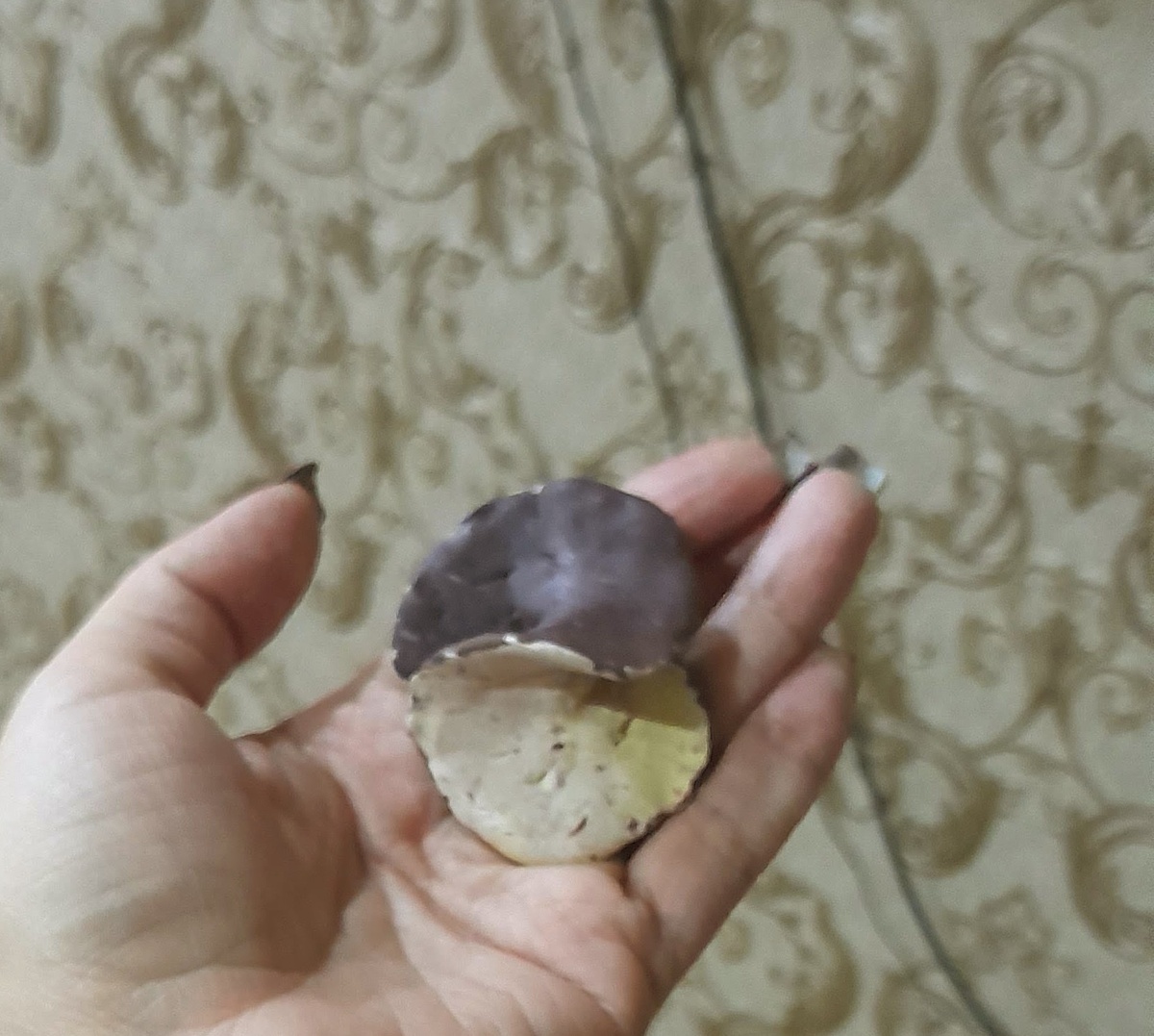 Модель Инь-Янь без заполнения.