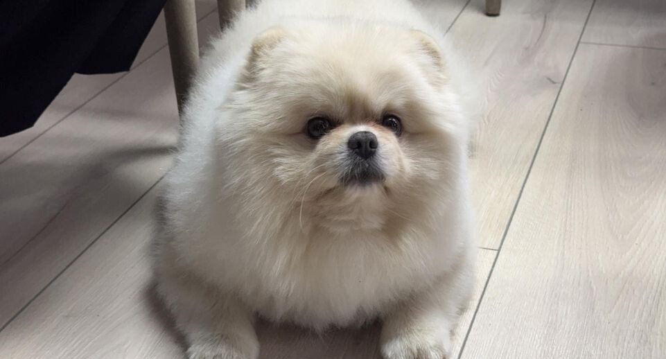    Petrov Sergey/news.ru / Global Look Press