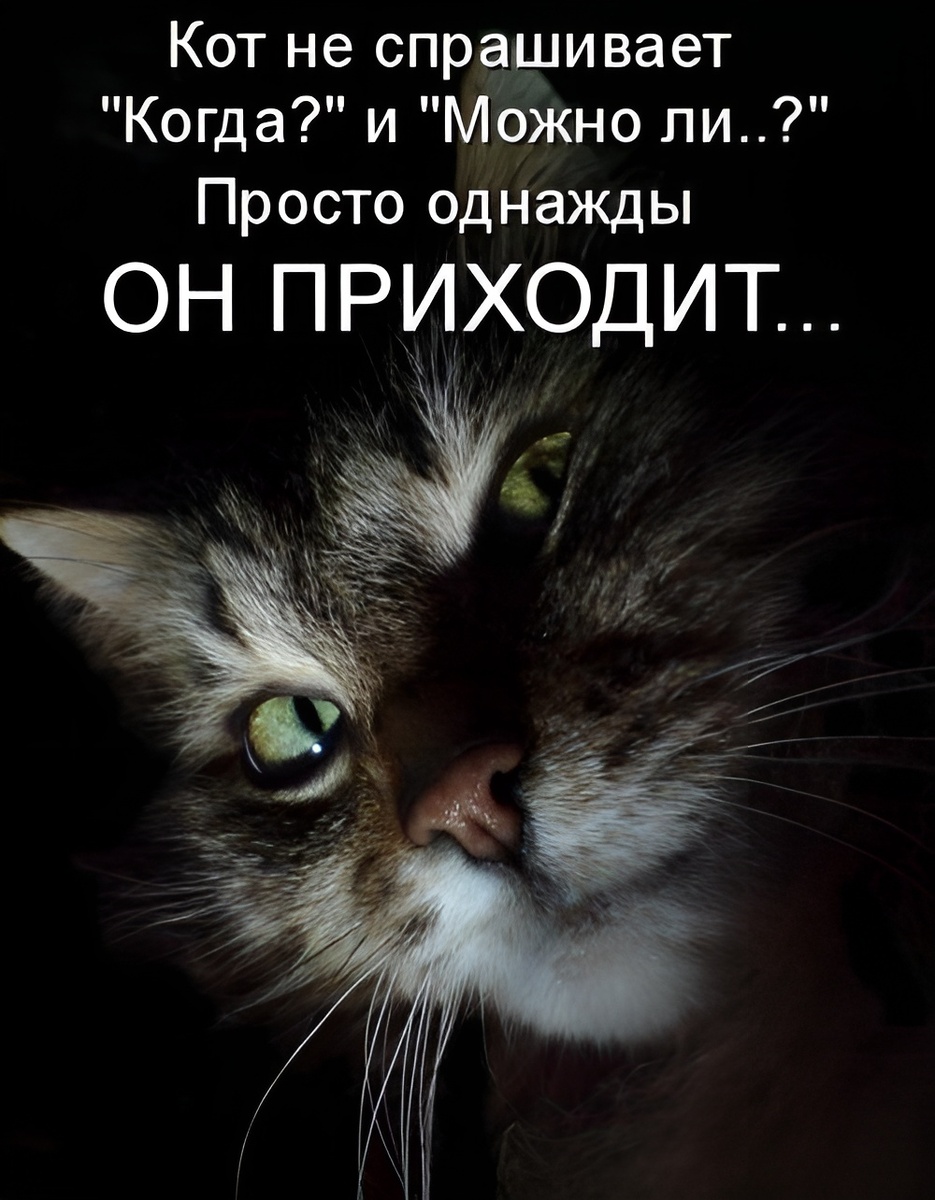 ... и ваша жизнь никогда не будет прежней.