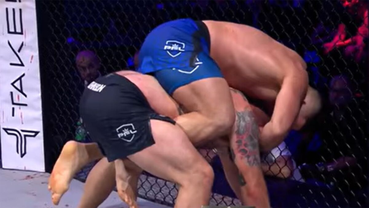    @pflmma