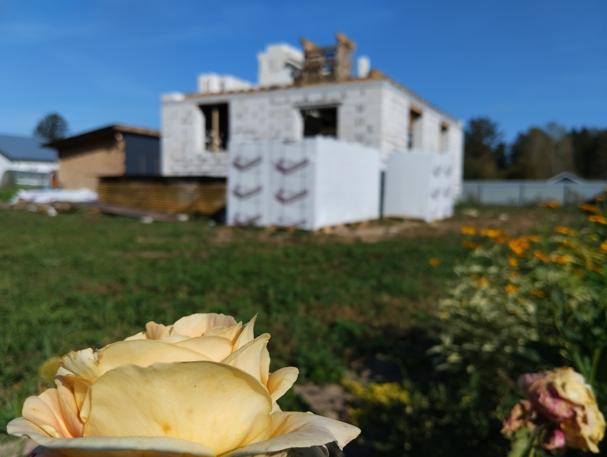 Сентябрь 2024: постепенный рост дома и цветников в Солнечном саду