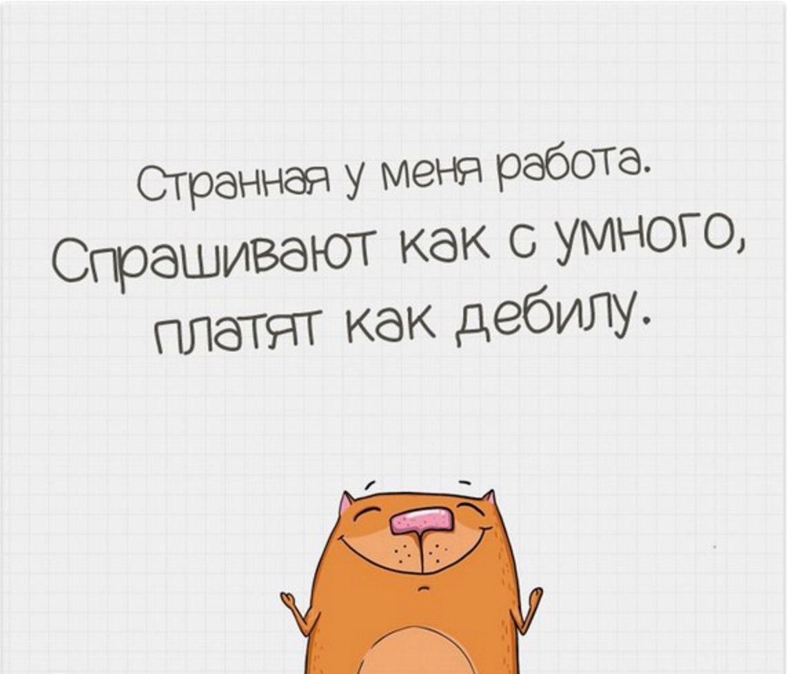 фото из открытых источниов 