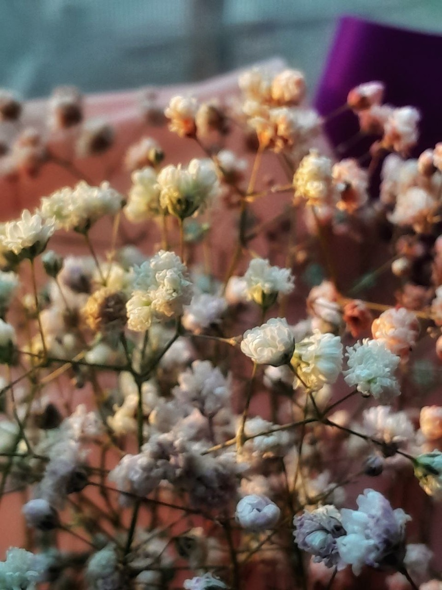 Личное фото