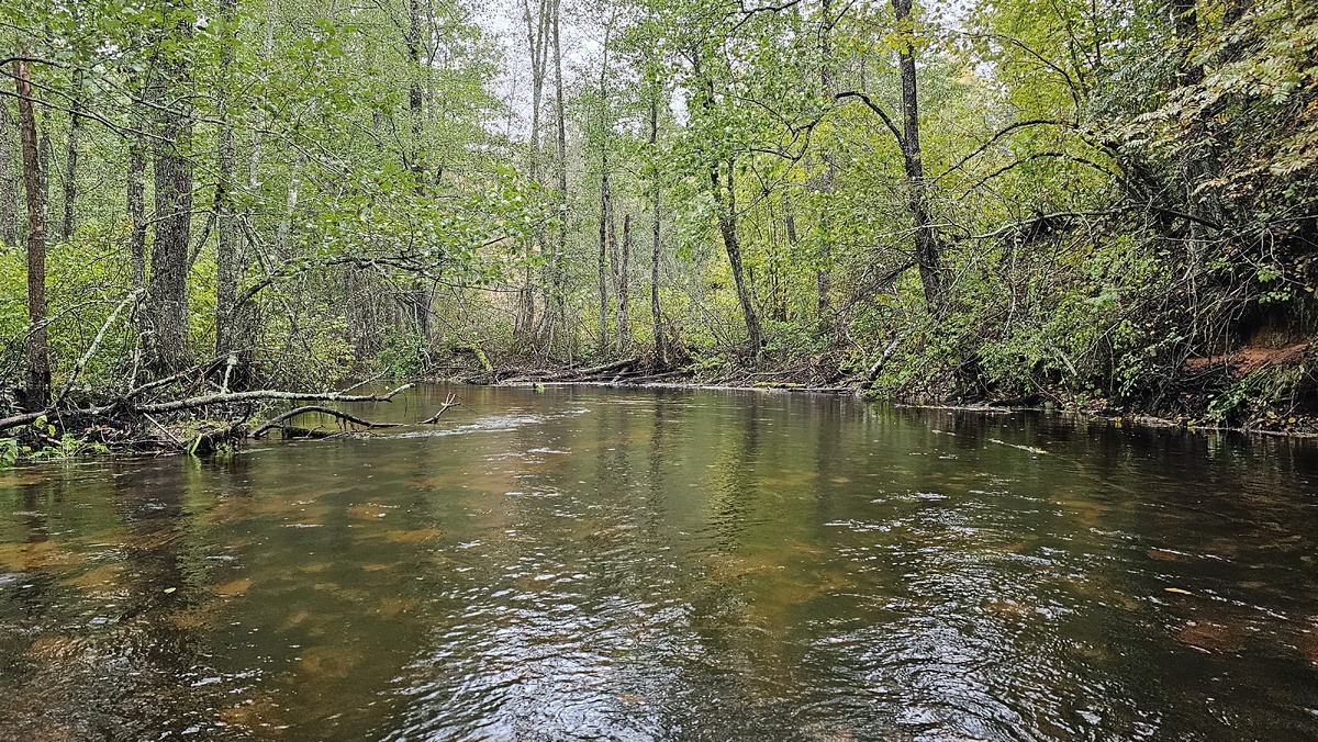 Река Долгая